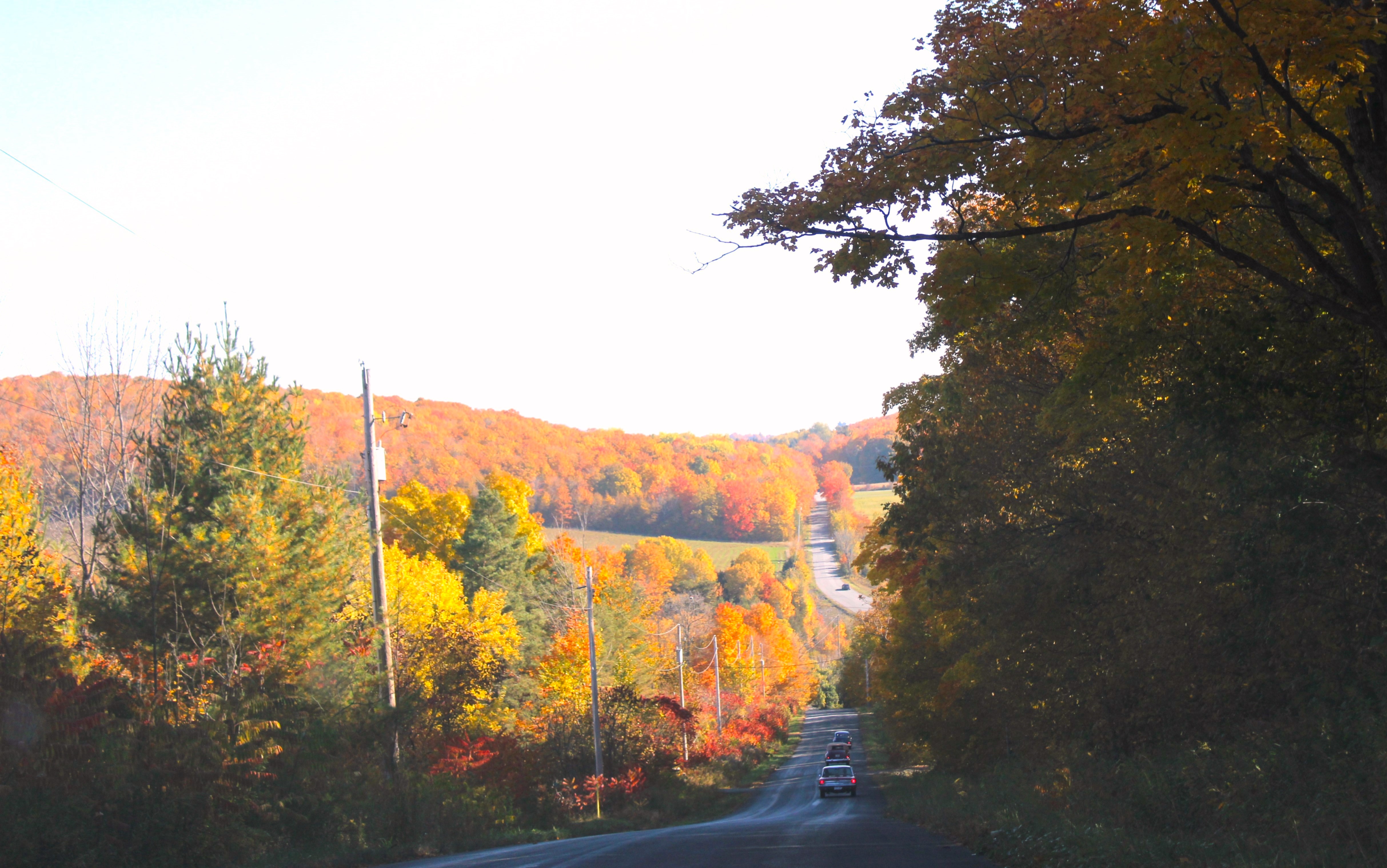 Kawartha Lakes Fall tour of the Kawartha's and the splendor of the beautiful colours